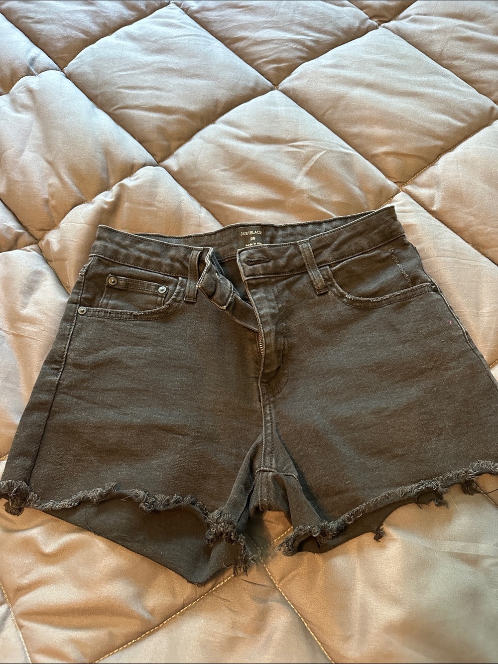 Just Black Black Frayed Hem Denim Cutoff Shorts